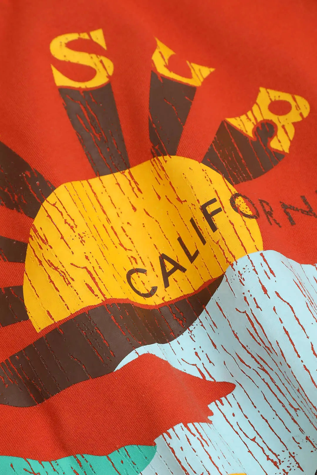 Eden - Eye Catching Big Sur Graphic Design Woman's T Shirt Dreamardi