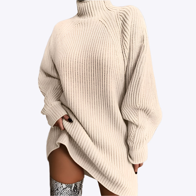 Solid Turtleneck Long Sweater Winter Warm Women Sweater Dress Dreamardi