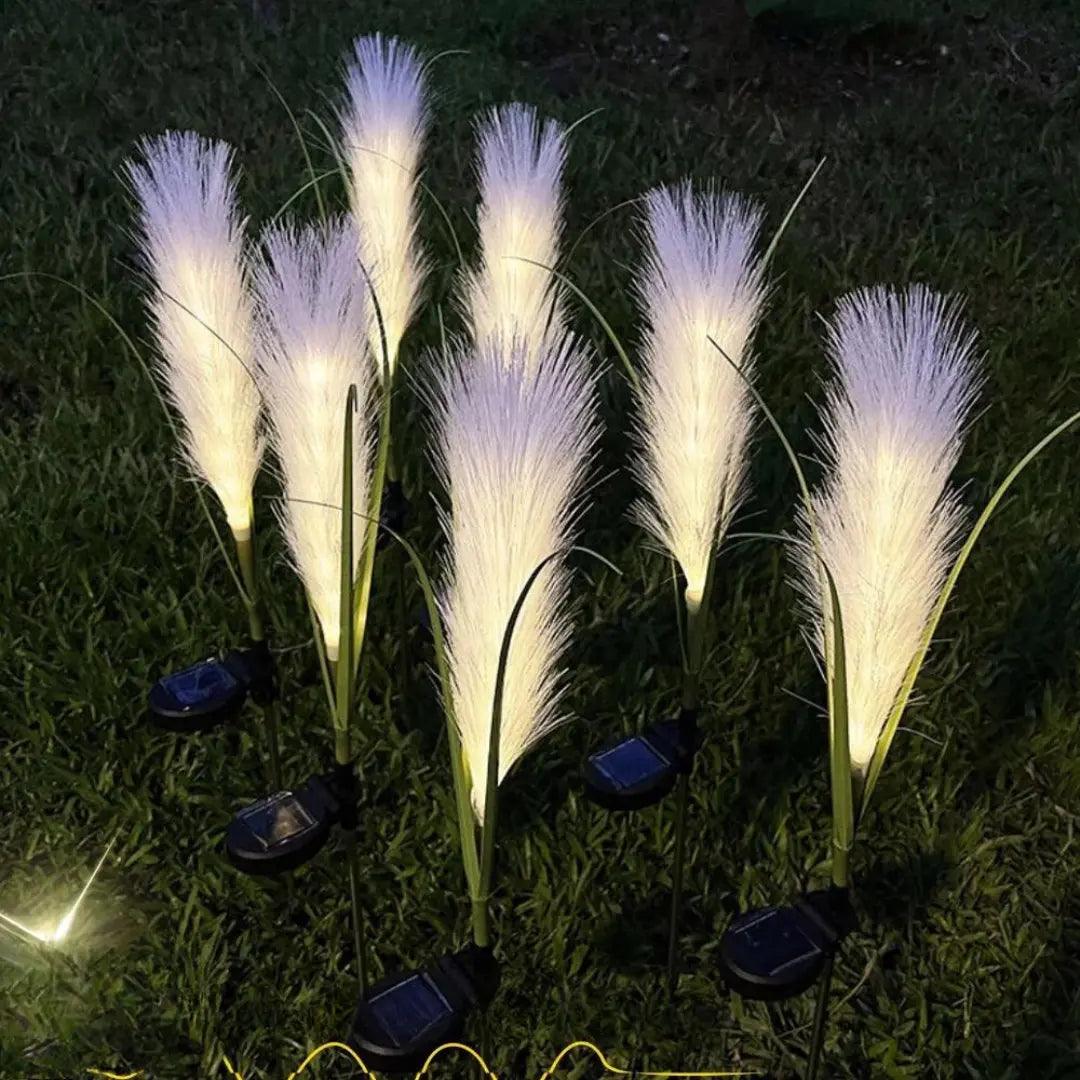 FeathGlow - Timeless Solar Ambiance Solar Reed Lamp