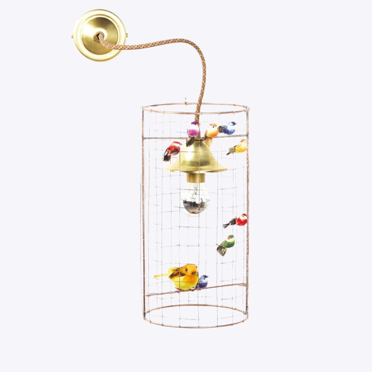 ChirpLight - Stylish Birdcage Frame Wall Lamp